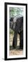 Awesome South Africa Collection Panoramic - Old African Elephant-Philippe Hugonnard-Framed Photographic Print