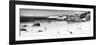 Awesome South Africa Collection Panoramic - Penguins at Boulders Beach B&W-Philippe Hugonnard-Framed Photographic Print