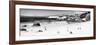 Awesome South Africa Collection Panoramic - Penguins at Boulders Beach B&W-Philippe Hugonnard-Framed Photographic Print