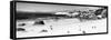 Awesome South Africa Collection Panoramic - Penguins at Boulders Beach B&W-Philippe Hugonnard-Framed Stretched Canvas