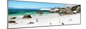 Awesome South Africa Collection Panoramic - Penguins at Boulders Beach II-Philippe Hugonnard-Mounted Photographic Print