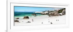 Awesome South Africa Collection Panoramic - Penguins at Boulders Beach II-Philippe Hugonnard-Framed Photographic Print