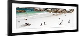 Awesome South Africa Collection Panoramic - Penguins at Boulders Beach-Philippe Hugonnard-Framed Photographic Print