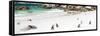 Awesome South Africa Collection Panoramic - Penguins at Boulders Beach-Philippe Hugonnard-Framed Stretched Canvas