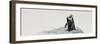 Awesome South Africa Collection Panoramic - Penguins Kissing-Philippe Hugonnard-Framed Photographic Print