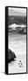 Awesome South Africa Collection Panoramic - Penguins on the Beach B&W-Philippe Hugonnard-Framed Stretched Canvas