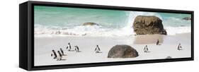 Awesome South Africa Collection Panoramic - Penguins on the Beach II-Philippe Hugonnard-Framed Stretched Canvas