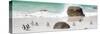 Awesome South Africa Collection Panoramic - Penguins on the Beach II-Philippe Hugonnard-Stretched Canvas