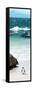Awesome South Africa Collection Panoramic - Penguins on the Beach V-Philippe Hugonnard-Framed Stretched Canvas