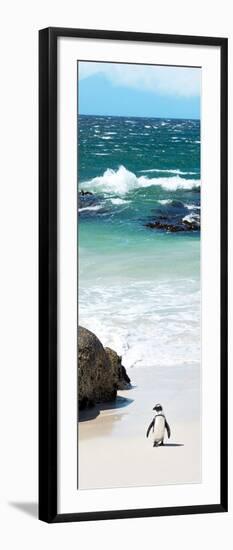 Awesome South Africa Collection Panoramic - Penguins on the Beach V-Philippe Hugonnard-Framed Photographic Print