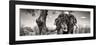 Awesome South Africa Collection Panoramic - Portrait of African Elephant in Savannah B&W-Philippe Hugonnard-Framed Photographic Print