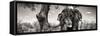 Awesome South Africa Collection Panoramic - Portrait of African Elephant in Savannah B&W-Philippe Hugonnard-Framed Stretched Canvas