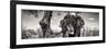 Awesome South Africa Collection Panoramic - Portrait of African Elephant in Savannah B&W-Philippe Hugonnard-Framed Photographic Print