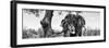 Awesome South Africa Collection Panoramic - Portrait of African Elephant in Savannah II B&W-Philippe Hugonnard-Framed Photographic Print