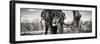 Awesome South Africa Collection Panoramic - Portrait of African Elephant in Savannah III B&W-Philippe Hugonnard-Framed Photographic Print
