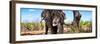 Awesome South Africa Collection Panoramic - Portrait of African Elephant in Savannah III-Philippe Hugonnard-Framed Photographic Print