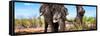 Awesome South Africa Collection Panoramic - Portrait of African Elephant in Savannah III-Philippe Hugonnard-Framed Stretched Canvas