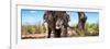 Awesome South Africa Collection Panoramic - Portrait of African Elephant in Savannah III-Philippe Hugonnard-Framed Photographic Print