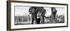 Awesome South Africa Collection Panoramic - Portrait of African Elephant in Savannah IV B&W-Philippe Hugonnard-Framed Photographic Print