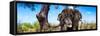 Awesome South Africa Collection Panoramic - Portrait of African Elephant in Savannah-Philippe Hugonnard-Framed Stretched Canvas