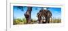 Awesome South Africa Collection Panoramic - Portrait of African Elephant in Savannah-Philippe Hugonnard-Framed Photographic Print