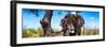 Awesome South Africa Collection Panoramic - Portrait of African Elephant in Savannah-Philippe Hugonnard-Framed Photographic Print