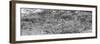 Awesome South Africa Collection Panoramic - Portrait of Giraffe Peering through Tree B&W-Philippe Hugonnard-Framed Photographic Print