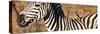 Awesome South Africa Collection Panoramic - Redbilled Oxpecker on Burchell's Zebra V-Philippe Hugonnard-Stretched Canvas