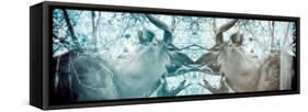 Awesome South Africa Collection Panoramic - Reflection of Greater Kudu - Aquamarine & Grey-Philippe Hugonnard-Framed Stretched Canvas