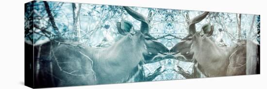 Awesome South Africa Collection Panoramic - Reflection of Greater Kudu - Aquamarine & Grey-Philippe Hugonnard-Stretched Canvas