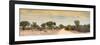 Awesome South Africa Collection Panoramic - Road in Savannah at Sunset-Philippe Hugonnard-Framed Photographic Print