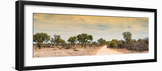 Awesome South Africa Collection Panoramic - Road in Savannah at Sunset-Philippe Hugonnard-Framed Photographic Print