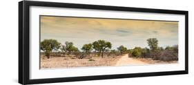 Awesome South Africa Collection Panoramic - Road in Savannah at Sunset-Philippe Hugonnard-Framed Photographic Print