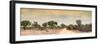 Awesome South Africa Collection Panoramic - Road in Savannah at Sunset-Philippe Hugonnard-Framed Photographic Print