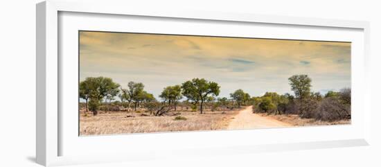Awesome South Africa Collection Panoramic - Road in Savannah at Sunset-Philippe Hugonnard-Framed Photographic Print