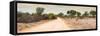 Awesome South Africa Collection Panoramic - Road in Savannah-Philippe Hugonnard-Framed Stretched Canvas