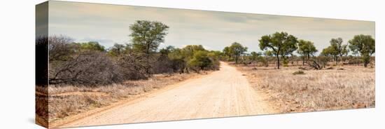 Awesome South Africa Collection Panoramic - Road in Savannah-Philippe Hugonnard-Stretched Canvas