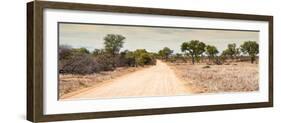 Awesome South Africa Collection Panoramic - Road in Savannah-Philippe Hugonnard-Framed Photographic Print