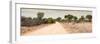 Awesome South Africa Collection Panoramic - Road in Savannah-Philippe Hugonnard-Framed Photographic Print