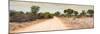 Awesome South Africa Collection Panoramic - Road in Savannah-Philippe Hugonnard-Mounted Photographic Print
