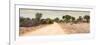 Awesome South Africa Collection Panoramic - Road in Savannah-Philippe Hugonnard-Framed Photographic Print