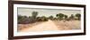 Awesome South Africa Collection Panoramic - Road in Savannah-Philippe Hugonnard-Framed Photographic Print