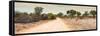 Awesome South Africa Collection Panoramic - Road in Savannah-Philippe Hugonnard-Framed Stretched Canvas