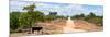 Awesome South Africa Collection Panoramic - Road in the Savannah-Philippe Hugonnard-Mounted Photographic Print