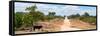 Awesome South Africa Collection Panoramic - Road in the Savannah-Philippe Hugonnard-Framed Stretched Canvas