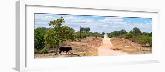 Awesome South Africa Collection Panoramic - Road in the Savannah-Philippe Hugonnard-Framed Photographic Print