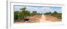 Awesome South Africa Collection Panoramic - Road in the Savannah-Philippe Hugonnard-Framed Photographic Print