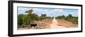 Awesome South Africa Collection Panoramic - Road in the Savannah-Philippe Hugonnard-Framed Premium Photographic Print