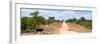 Awesome South Africa Collection Panoramic - Road in the Savannah-Philippe Hugonnard-Framed Premium Photographic Print