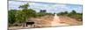 Awesome South Africa Collection Panoramic - Road in the Savannah-Philippe Hugonnard-Mounted Premium Photographic Print